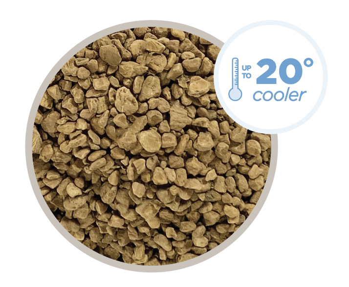 Eliá Renufill close-up