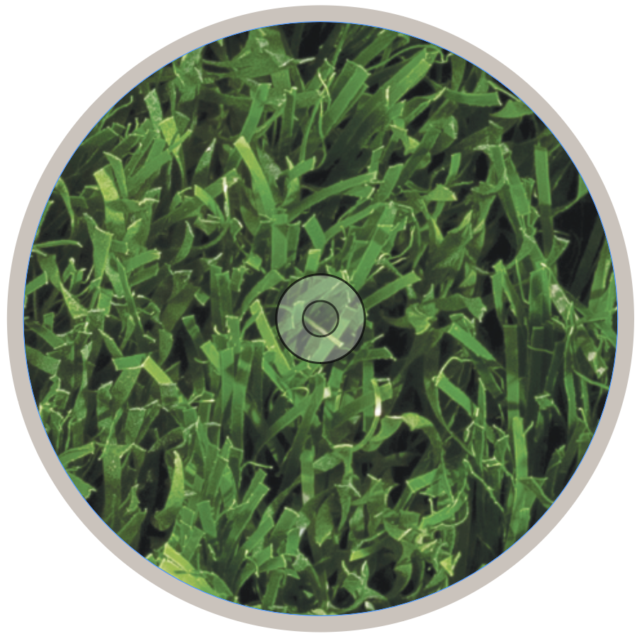 Matrix H Blend Turf