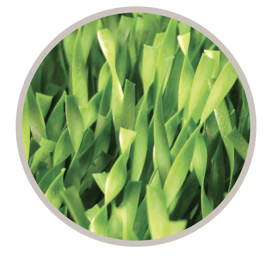 Matrix Helix turf close-up